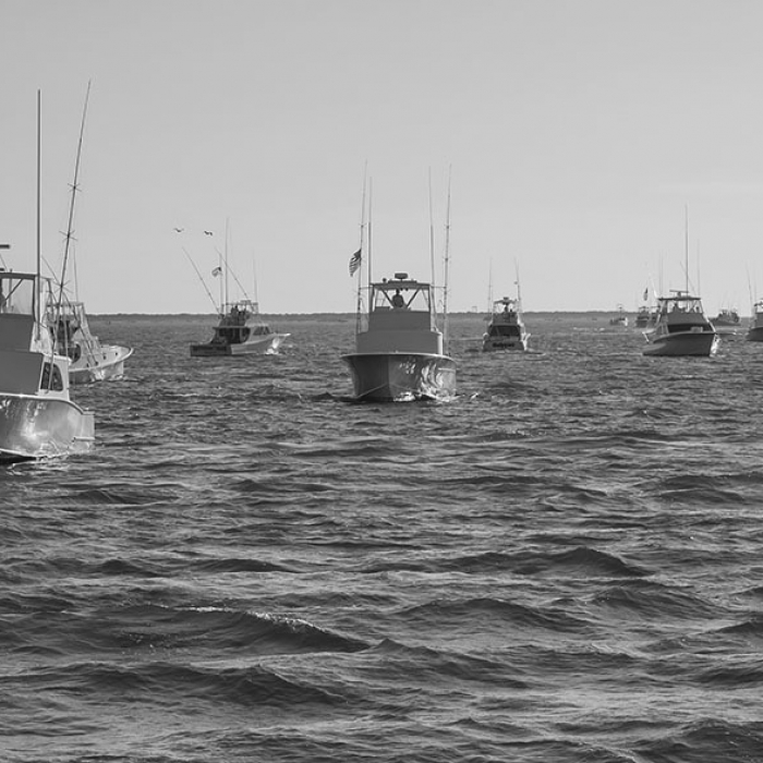 DSC_1396