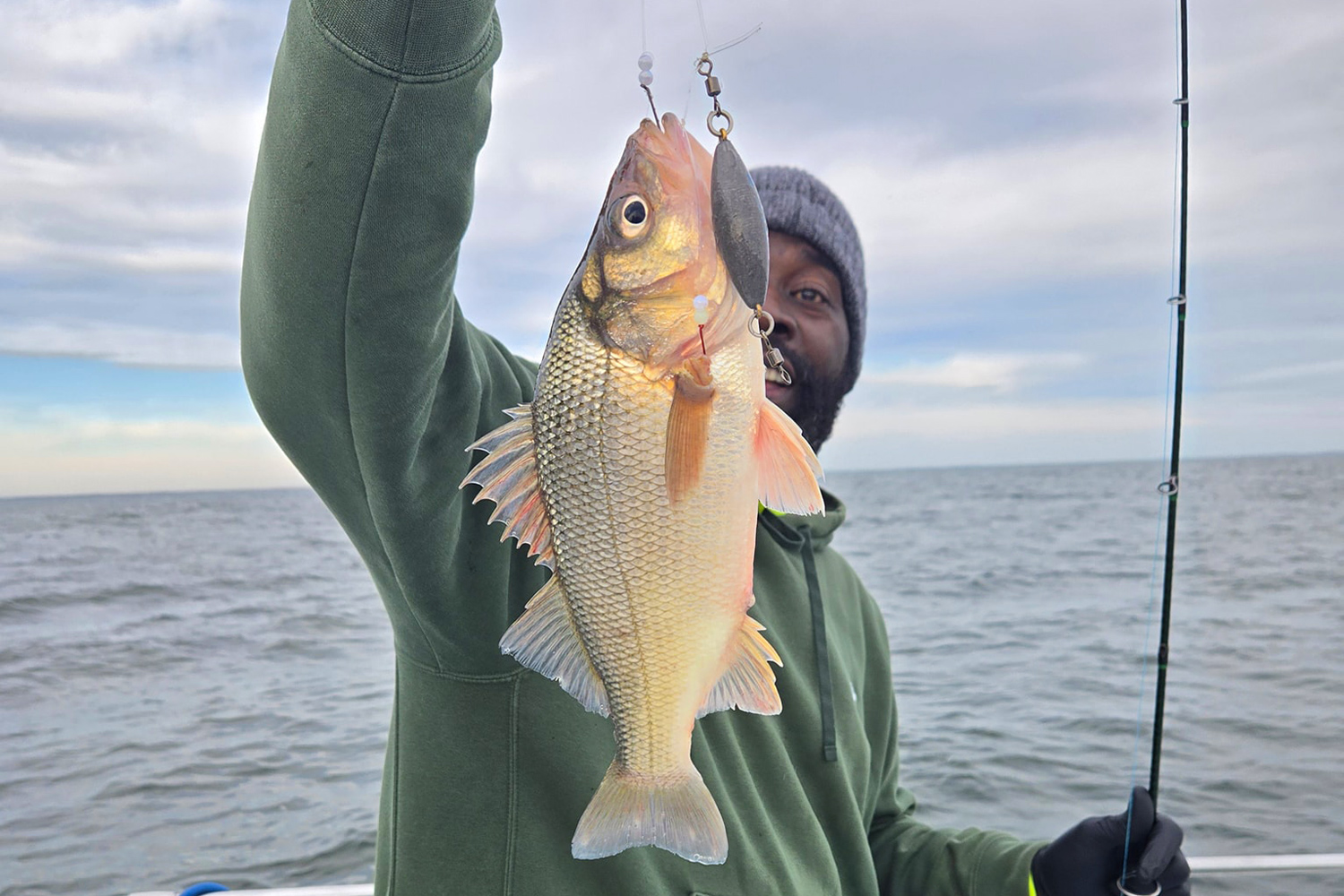 perch-gallery-1