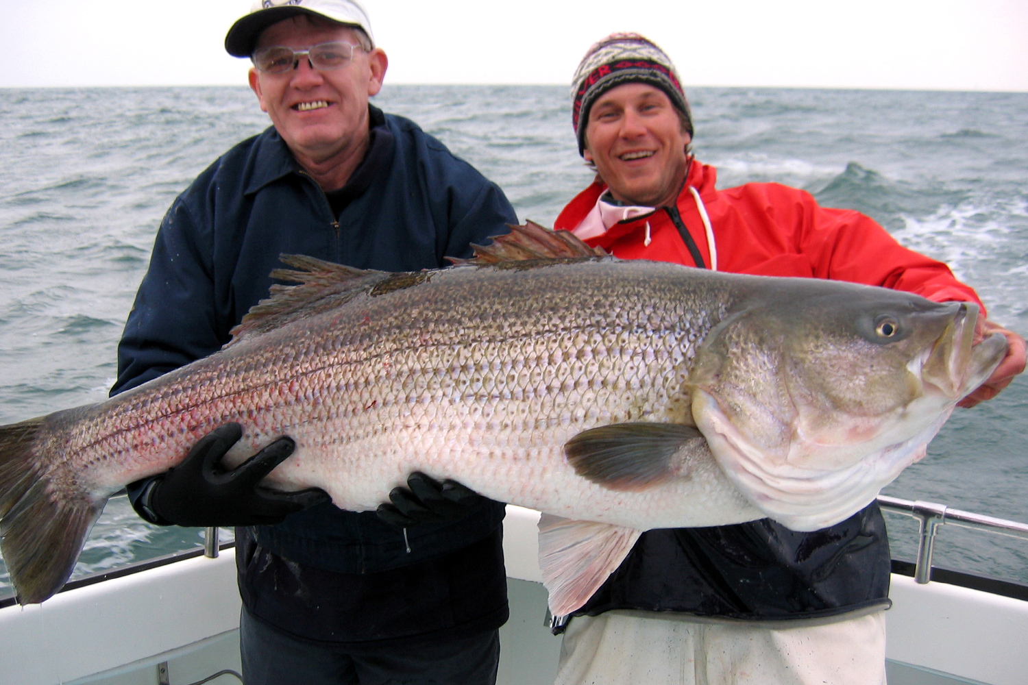 rockfish-gallery-12