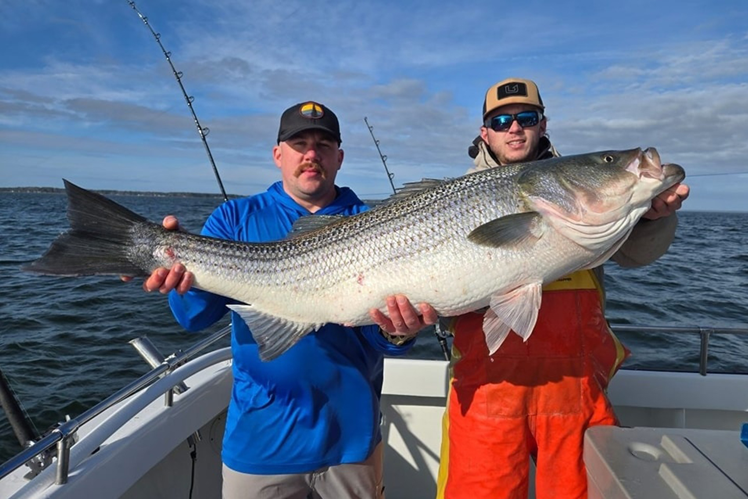 rockfish-gallery-7