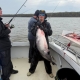 blue catfish Potomac 55 pound Miss Susie Charters